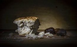 Calories du pain de singe, chiffres nutritive et vertues pour la santé